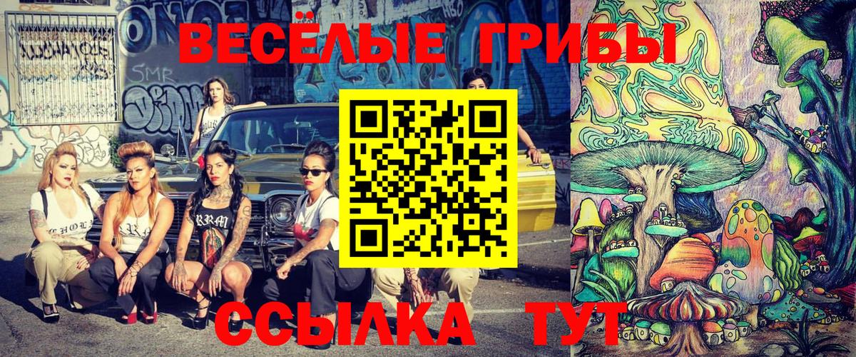 Псилоцибиновые грибы прущие грибы Богородицк
