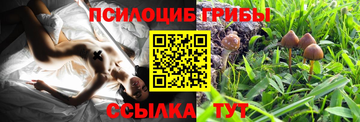 Псилоцибиновые грибы Psilocybine cubensis  Вход с VPN  Богородицк 